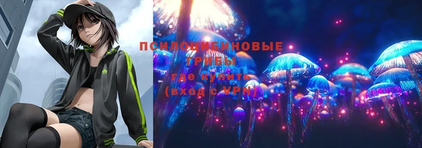 шишки Беломорск