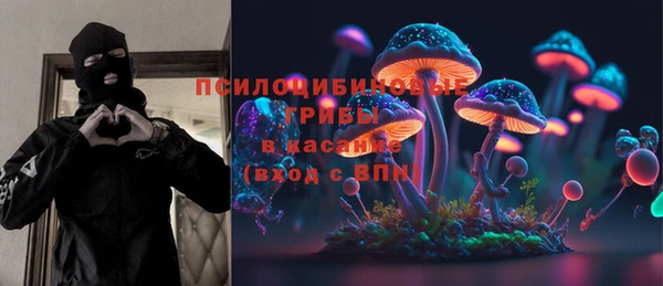 соль ск Богородск