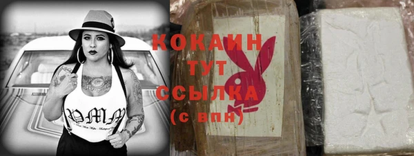 молекула духа Белокуриха