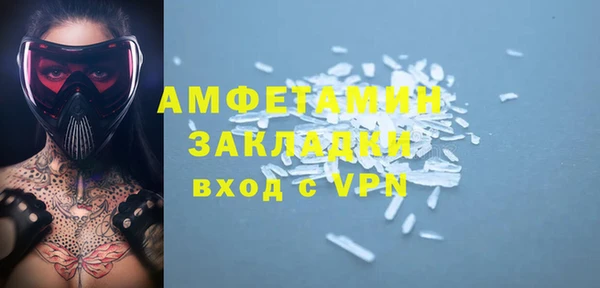 шишки Беломорск