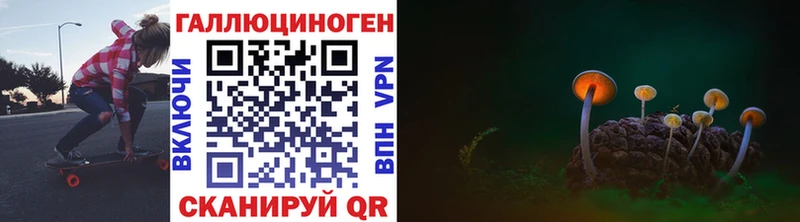 kraken зеркало  дарнет шоп  shop клад  Галлюциногенные грибы GOLDEN TEACHER  Болгар 